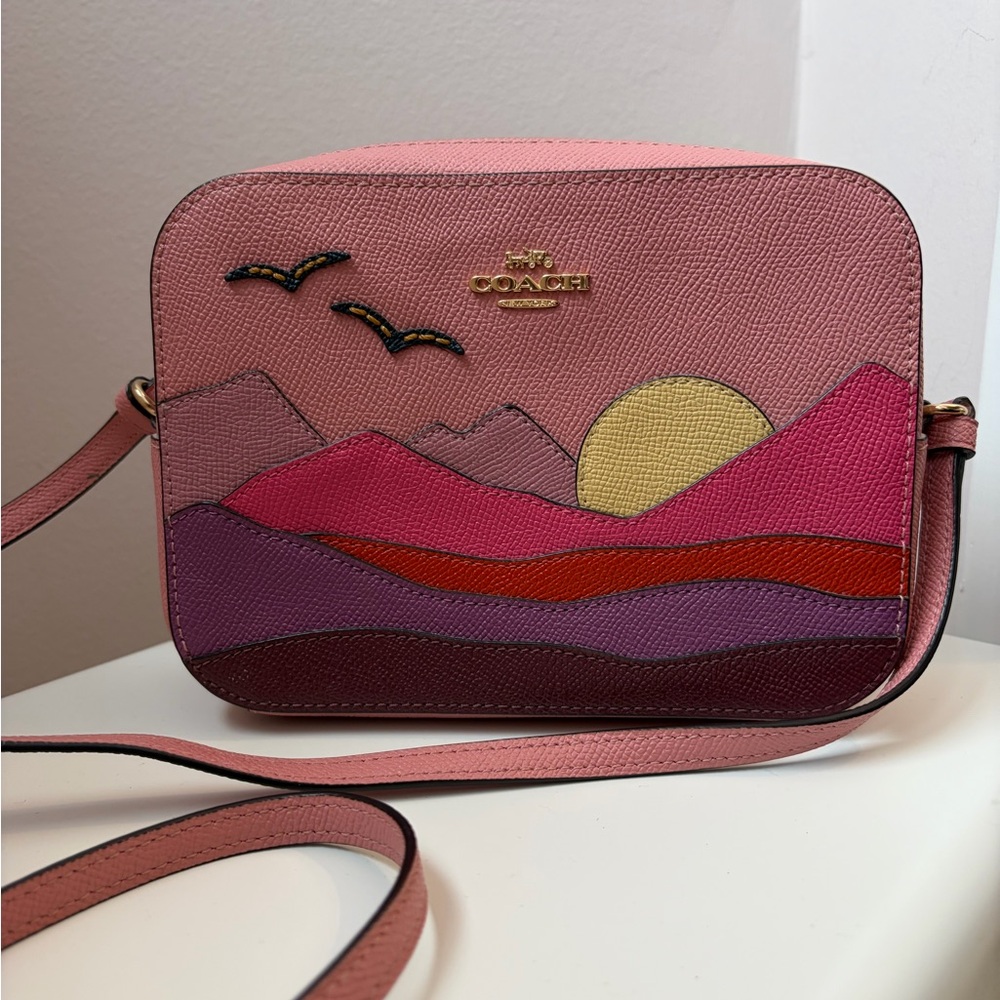 Coach Pink and Purple Crossbody Bag - Picture 3 of 14